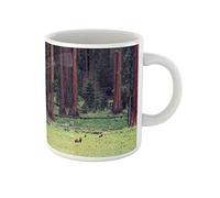 Awowee Taza de café con diseño de oso de California en cachorros salvajes Sequoia National Park America de 325 ml, taza de té de cerámica, el mejor regalo o recuerdo para familiares, amigos y