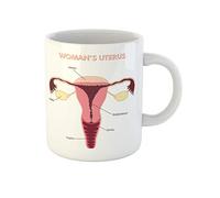 Awowee Taza de café con estructura anatómica de los órganos reproductivos femeninos del útero anatomía de 325 ml, tazas de té de cerámica, el mejor regalo o recuerdo para familiares, amigos