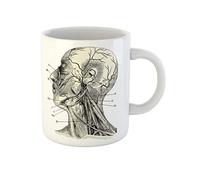 Awowee Taza de café de anatomía humana con grabado vintage de Manuel Des Hospitali¨re Et Garde de 325 ml, taza de té de cerámica, el mejor regalo o recuerdo para familiares, amigos, compañeros de