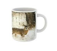 Awowee Taza de café de cerámica con diseño de ciervo de cola blanca en el bosque, 325 ml, el mejor regalo o recuerdo para familiares, amigos y compañeros de trabajo