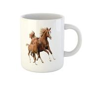 Awowee Taza de café de cerámica de 325 ml con diseño de caballo marrón y potro corriendo con animales blancos, el mejor regalo o recuerdo para familiares, amigos y compañeros de trabajo