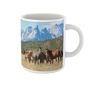 Awowee Taza de café de cerámica de 325 ml, diseño de caballos salvajes en el parque nacional Torres del Paine, el mejor regalo o recuerdo para familiares, amigos y compañeros de trabajo