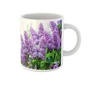 Awowee Taza de café de cerámica de 325 ml, diseño de ramas de arbustos azules, flores lilas, árbol verde, taza de té, el mejor regalo o recuerdo para familiares, amigos y compañeros de trabajo