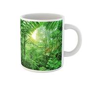 Awowee Taza de café de cerámica fresca de la selva tropical del Parque Nacional de Costa, 325 ml, el mejor regalo o recuerdo para familiares, amigos y compañeros de trabajo