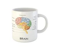 Awowee Taza de café Diagrama de la anatomía del cerebro humano, cabeza cerebral médica, neurociencia médica, tazas de té de cerámica de 325 ml, el mejor regalo o recuerdo para familiares, amigos