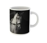 Awowee Taza de café negra y blanca para entrenamiento de caballos en tonos monocromáticos, taza de té de cerámica de 325 ml, el mejor regalo o recuerdo para familiares, amigos y compañeros de trabajo