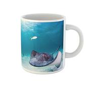 Awowee Taza de café Southern Stingray Glides Through the Shallow Blue Waters, taza de té de cerámica de 325 ml, el mejor regalo o recuerdo para familiares, amigos y compañeros de trabajo