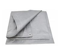 AWTOOLS Lona de Plata de 120 g 5 * 6 m