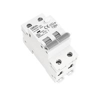 AWWVRLMM Disyuntor de Corriente Residual GYR9NM 230V 2P 4P con protección contra sobrecorriente y Fugas Corta MCB DIN Rail MAX 40A(4P 25A,100mA)