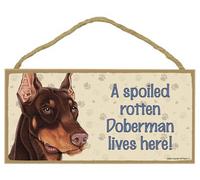 AXHNG Cartel de metal de aluminio con texto en inglés "A Spoiled Rotten Doberman Liv Here" para decoración de pared de 30,5 x 40,6 cm