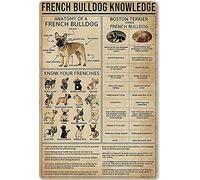AXHNG Cartel vintage de bulldog francés con texto en inglés "Knowledge New Year The So That Children Can Gain Knowledge Daily Life", cartel de metal de aluminio, 20,3 x 15,2 cm, decoración de pared