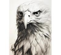 AxiangziK Animal Diy Kit Gancho De Pestillo Retrato De Águila Juego De Alfombras Con Aguja De Pestillo，Kits De Alfombra Hechos A Mano Con Preimpresión，Regalo De Artesanía 3D Diy 23x35in