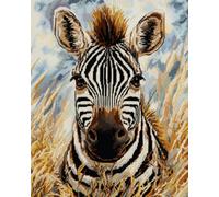 AxiangziK Animal Diy Kit Gancho De Pestillo Retrato De Cebra Kits Para Alfombras Con Aguja De Pestillo Para Principiantes，Kit De Alfombra De Ganchillo Para Decoración Del Hogar 35x46in