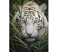 AxiangziK Animal Diy Kit Gancho De Pestillo Tigre Blanco De Fantasía Kit Para Alfombras Con Aguja De Pestillo Para Principiantes，Juego De Bordado，Kits De Manualidades 3D Para Decoración 21x29in