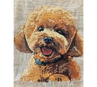 AxiangziK Animal Perro Punto de Cruz,Caniche sonriente,Conjunto de Kit de Punto de Cruz de Bordado Que Incluye Hilos de Color Dibujo de Aguja de paño de algodón,40x50cm