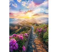 AxiangziK DIY Embroidery Kit Gran Muralla y Flores 11CT 40x50cm