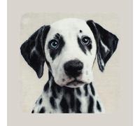 AxiangziK Kit de ganchillo para principiantes,Animal perro dálmata,kit de bordado de fundas de almohada,Bricolaje Bordadas de Manualidades,43x43cm