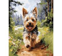 AxiangziK Kit de punto de cruz Perro,Yorkshire terrier corriendo sobre la hierba,para hacer tú mismo,juego completo de iniciación para principiantes preimpreso,40x50cm