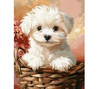 AxiangziK perro animal Kits De Punto De Cruz,11CT DIY Kit de Punto de Cruz,bichón frisé blanco,Pre-Impresa DIY Kit de Manualidades Decorativa para Principiantes,40x50cm