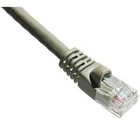 Axiom 1ft. 350MHz Cat5e - Cable de Red (0,3 m, Cat5e, U/UTP (UTP), RJ-45, RJ-45, Gris)