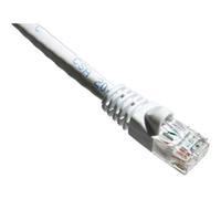Axiom Cat6a 10 pies - Cables de Red (RJ-45, RJ-45, Macho/Macho, Oro, 10GBase-T, Cat6a)