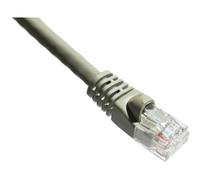 Axiom Cat6a, 100ft Cable de Red 30,48 m U/UTP (UTP) Gris - Cables de Red (100ft, 30,48 m, Cat6a, U/UTP (UTP), RJ-45, Gris