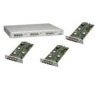 Axis 12 Channel Video Server Bundle servidor y codificador de vídeo - Servidor de video (30 pps, 30 pps, IPv4/v6, HTTP, HTTPS, SSl/TlS*, TCP, QoS, SNMPv1/v2c/v3 (MIb-II), RTSP, RTP, UDP, IGMP, RTCP, SMTP, , 100 - 240 V AC, 1.9 A max 80 W, 0 - 45 °C, 20 - 80%)