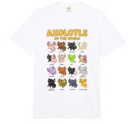 Axolotes del Mundo Animales Dulces Axolote Kawaii Comfort Colors Adult Heavyweight T-Shirt