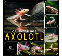 Axolotl Calendar 2026: Explore the Magic of These Smiling Salamanders While Staying Organized,Monthly Planner Featuring Unique Aquatic Creatures