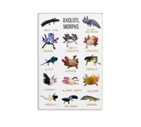Axolotl Educational Poster - Neoteny and Regeneration Facts with Illustrated Morphs, Science Themed Canvas Art for Study Room and Library Decor(Unframed,16x24inch(40x60cm))
