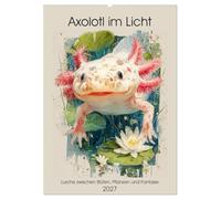 Axolotl im Licht. Lurche zwischen Blüten, Pflanzen und Fantasie (Wandkalender 2027 DIN A2 hoch), CALVENDO Monatskalender: Die stille Magie der Axolotl in zarten Aquarellwelten