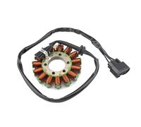 AXTAZS Compatible con para HP4 para Race K60 2017 2018 para S1000r K47 2013-2020 Bobina del Estator del Generador Magnético De Motocicleta 12318553990 12317718420 Magneto Estator Bobina