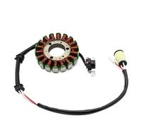 AXTAZS Compatible con para Yfm250 para Raptor 250 Edición Especial 2008 2009/2011 Bobina del Estator del Magneto De La Motocicleta 4D3-81410-00 Magneto Estator Bobina