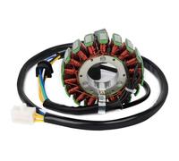 AXTAZS Compatible con Suzuki para DR250R 1998-2000 para DRZ250 2001-2007 Generador De Motocicleta Estator Magneto Estator Bobina 32101-29F00 32101-13E00 Magneto Estator Bobina