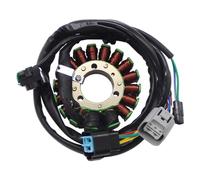 AXTAZS Compatible con TRX450ER 2006 2007 2008 2009/2012 2013 2014 para TRX450R 2006 2007 2008 2009 Bobina del Estator De Encendido del Generador De Motocicleta 31120-HP1-601 Magneto Estator Bobina