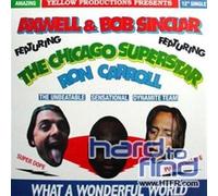 Axwell & Bob Sinclar - What a Wonderful World [Vinilo]
