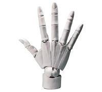 AXXHOTHO Modelo de mano flexible para dibujar, dibujar y pintar, con soporte, para escritorio y oficina en casa, color blanco (blanco, derecho)