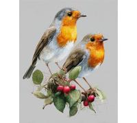 AYAOYANGGO Animal Diy Kit De Punto De Cruz Con Cuentas Dos Pájaros Kit De Manualidades Con Bordado,Tapiz 3D,Kits De Punto De Cruz Con Cuentas 40x50cm