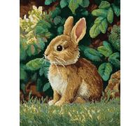 AYAOYANGGO Animal Latch Hook Rug Kit Conejo De Fantasía Kit Para Hacer Alfombras Diy Para Adultos Y Niños，Kits De Punto De Cruz，Bordado De Tapiz Para Principiantes，Decoración Del Hogar. 21x29in