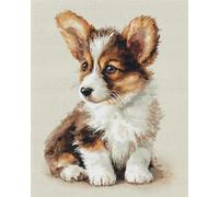 AYAOYANGGO Perros Animales Diy Kit De Bordado Con Cuentas Corgi De Dibujos Animados Bead Embroidery Kit De Bricolaje Con Cuentas,Kit De Punto De Cruz Hecho A Mano,Arte Con Agujas 60x80cm