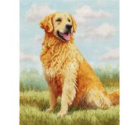 AYAOYANGGO Perros Animales Kit De Crochet Retrato De Un Golden Retriever Kit De Punto De Cruz Para Niños Y Adultos，Kit Para Hacer Alfombras Con Aguja De Pestillo，Set Crochet Para Tapiz 23x35in