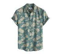 AYBIOSD Camisa Hawaiana para Hombre Camisas De Manga Corta con Botones De Corte Regular Camisas De Playa De Gran Tamaño,Style 2,XL