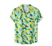 AYBIOSD Camisas Hawaianas para Hombre Camisa De Manga Corta con Botón Camisetas Informales De Verano con Flores T Shirts De Aloha para Vacaciones En La Playa,Style 6,L