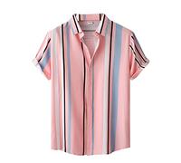 AYBIOSD Camisas Hawaianas para Hombre Camisa De Manga Corta con Botón Camisetas Informales De Verano con Flores T Shirts De Aloha para Vacaciones En La Playa,Style 10,L
