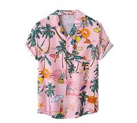 AYBIOSD Camisas Hawaianas para Hombre Camisa De Manga Corta con Botón Camisetas Informales De Verano con Flores T Shirts De Aloha para Vacaciones En La Playa,Style 11,L