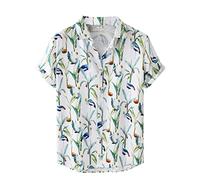 AYBIOSD Camisas Hawaianas para Hombre Camisa De Manga Corta con Botón Camisetas Informales De Verano con Flores T Shirts De Aloha para Vacaciones En La Playa,Style 8,L
