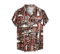 AYBIOSD Camisas Hawaianas para Hombre Camisa De Manga Corta con Botón Camisetas Informales De Verano con Flores T Shirts De Aloha para Vacaciones En La Playa,Style 4,L