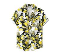 AYBIOSD Camisas Hawaianas para Hombre Camisa De Manga Corta con Botón Camisetas Informales De Verano con Flores T Shirts De Aloha para Vacaciones En La Playa,Style 30,M