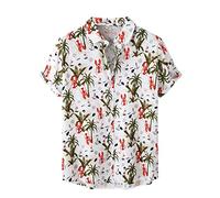 AYBIOSD Camisas Hawaianas para Hombre Camisa De Manga Corta con Botón Camisetas Informales De Verano con Flores T Shirts De Aloha para Vacaciones En La Playa,Style 2,L