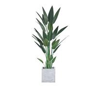 AYCDL Plantas artificiales artificiales de canna en maceta, para sala de estar, interior, fiesta, hogar, oficina, moda, decoración artística